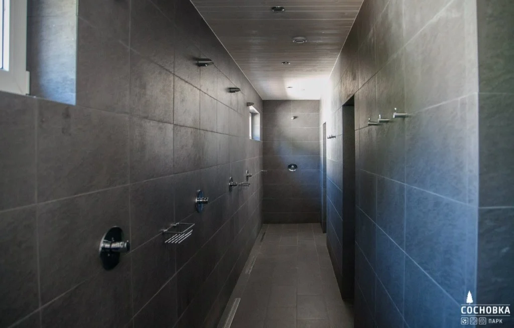 Сосновка Парк 1 - фотография