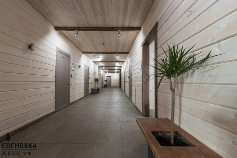 Сосновка Парк 3 - фотография