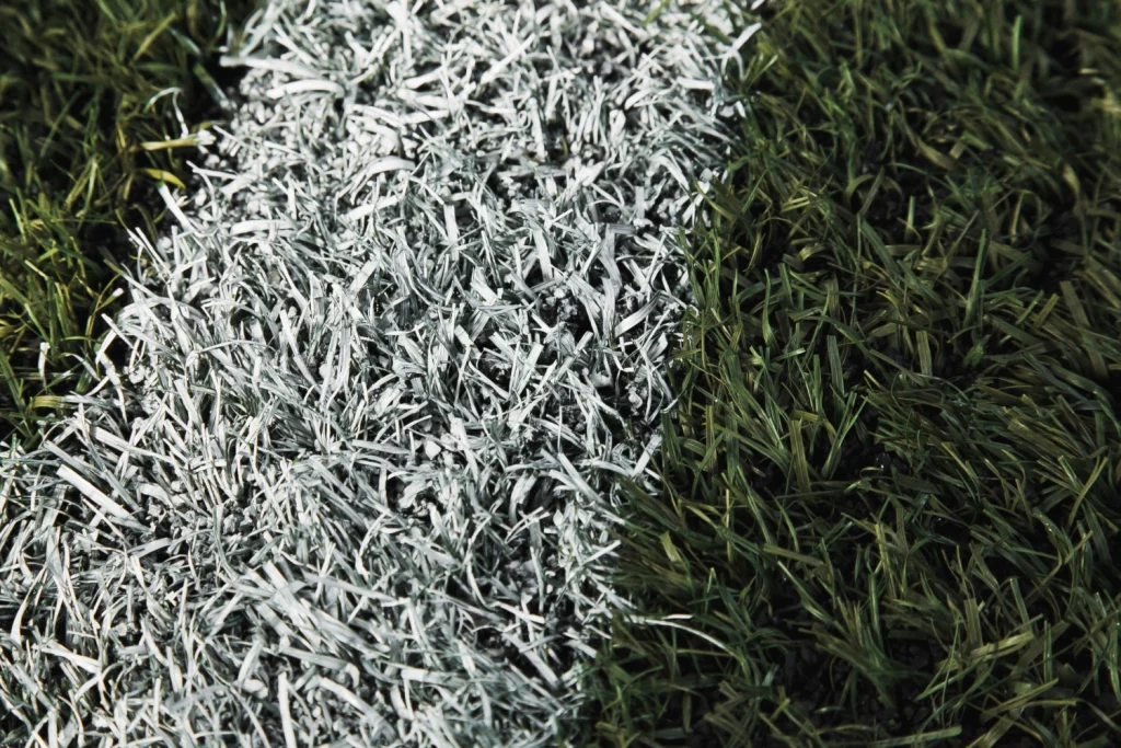 Ангар 4 - фотография