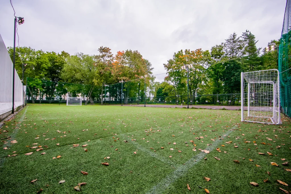 Футбольный центр “Молния Старая Деревня” 3 - фотография