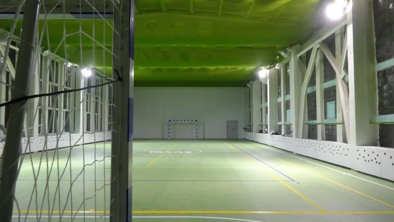 Своё поле 6 - фотография