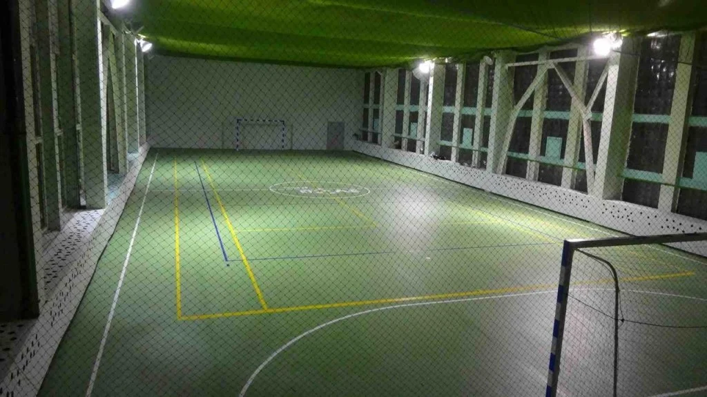 Своё поле 7 - фотография