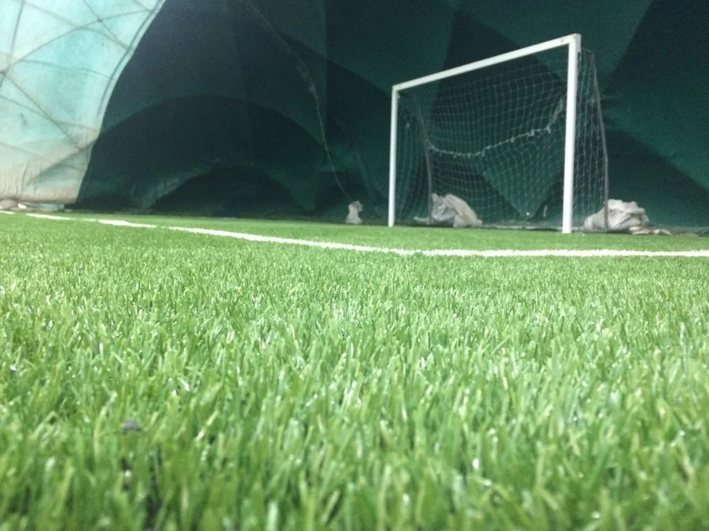 Lakes Arena 3 - фотография