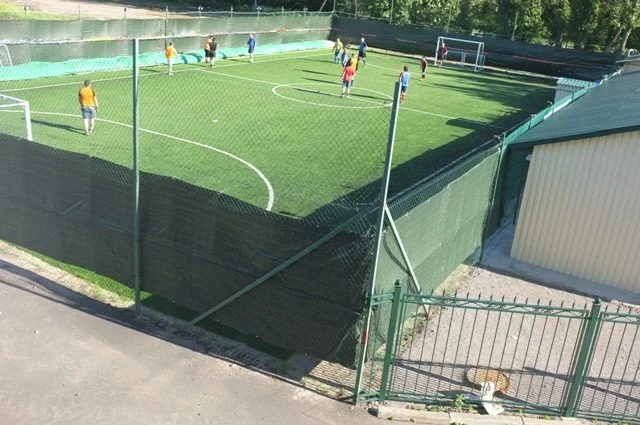 Восходящая Звезда 5 - фотография