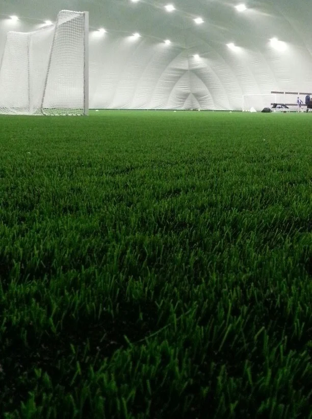 Сосновка Парк 11 - фотография