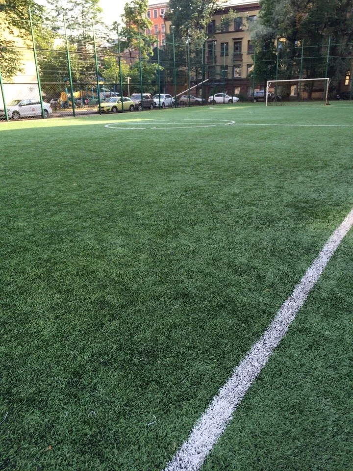 Поле ФК “Беспокойные Сердца” 4 - фотография