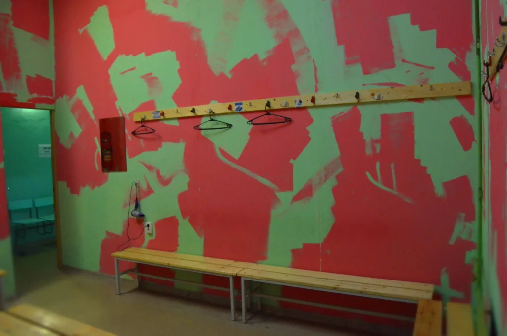 Своё поле 12 - фотография