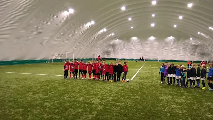 Коломяги 1 - фотография