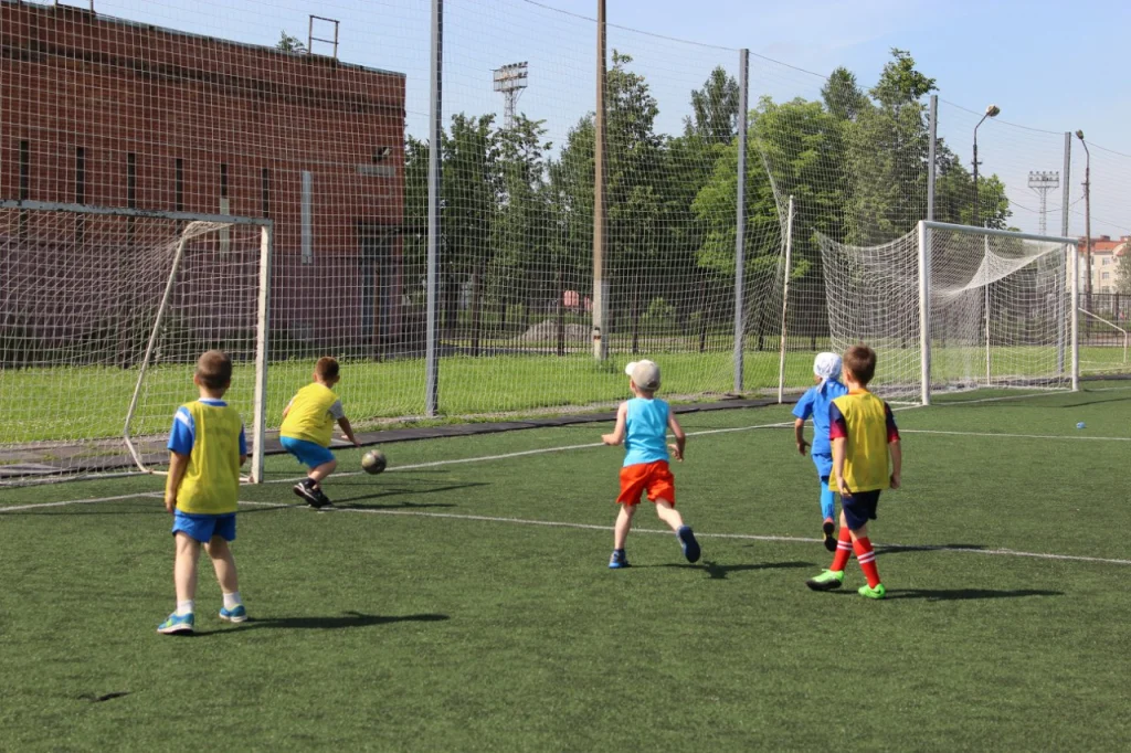 Ижорец-Инкон 2 - фотография